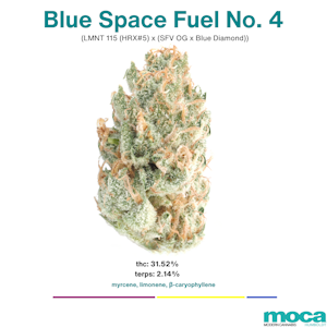 MOCA Flowers - MOCA Flowers - Smalls 1/4 Bag - Blue Space Fuel #4