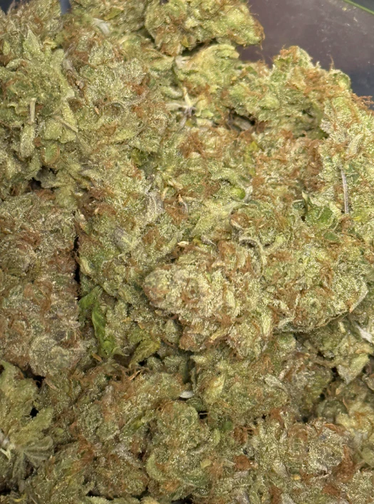 Valhalla Cannabis Company - Blue Sunset Sherbert-Deli Main Image