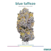 MOCA Flowers - 1/8th Mylar Bag - Blue Taffeze