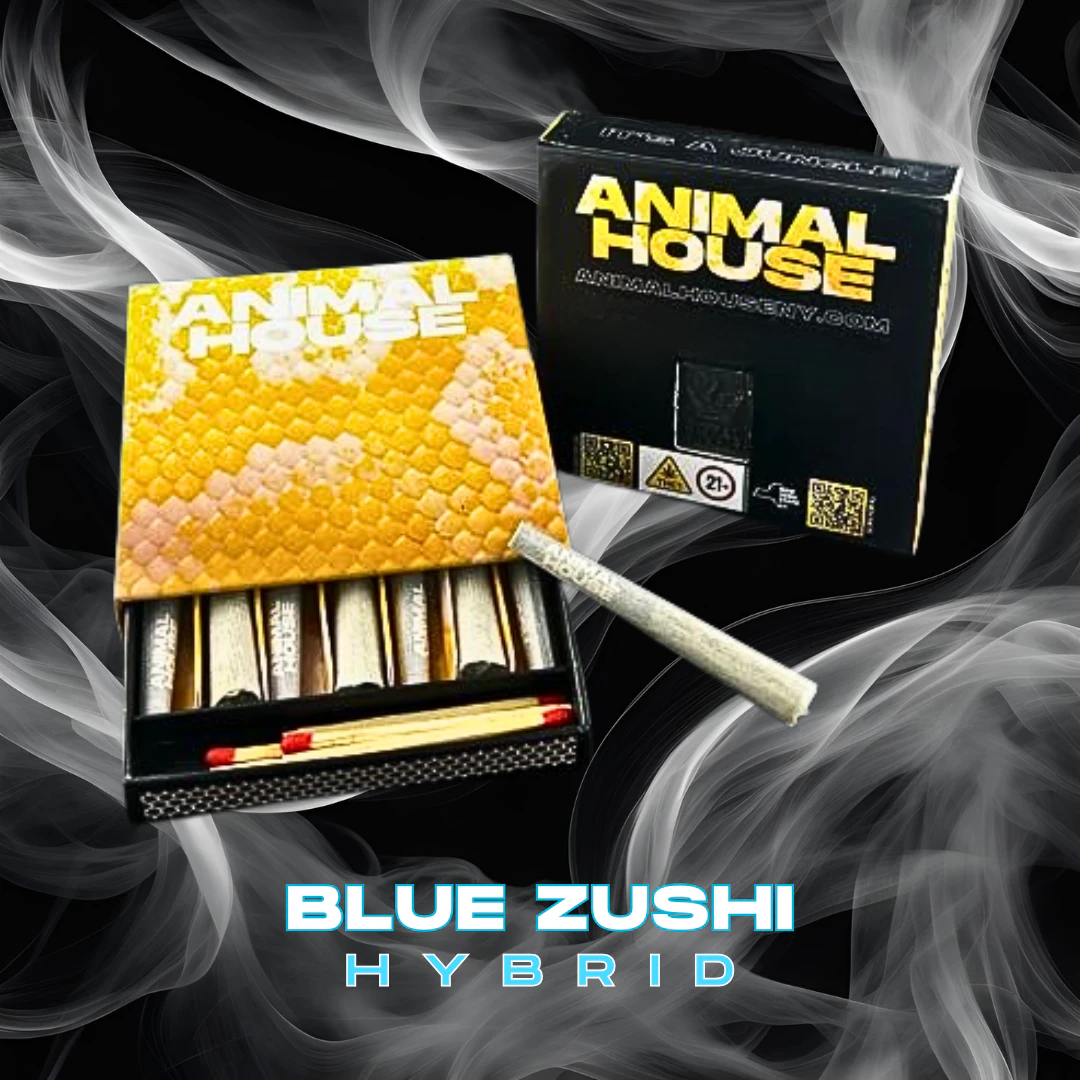 Animal House - Animal House | Blue Zushi | Kief Infused | Pre Rolls | 7pk | 3.5g Main Image