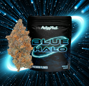 Poetry Of Plants - Blue Halo Premium Flower - 3.5g
