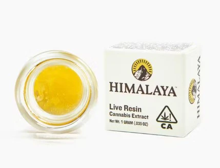 HIMALAYA - Himalaya 1g Blueberry Muffins Live Resin Main Image