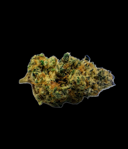 54 GREEN ACRES - Blue Beam #1 Bud