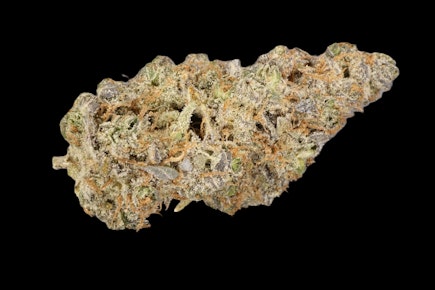Green Ganja | Blue Dream | 1lb | 26.16%