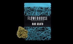 Blue Gelato | Flower | 3.5g