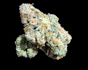 Product Preview Image 1