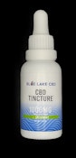 CBD tincture Spearmint 1000mg