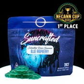 Blue Raspberry LR Gummies - 100mg - HHG