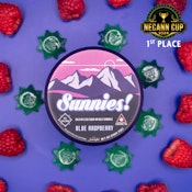 Blue Raspberry LR Gummies - 100mg - HHG