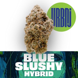 URBNJ - Blue Slushy 2g