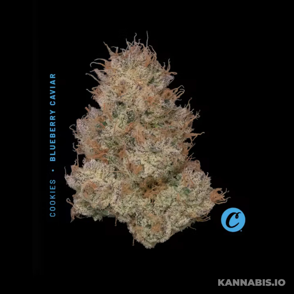 Cookies - Blueberry Caviar Mixed Light - 3.5G Main Image