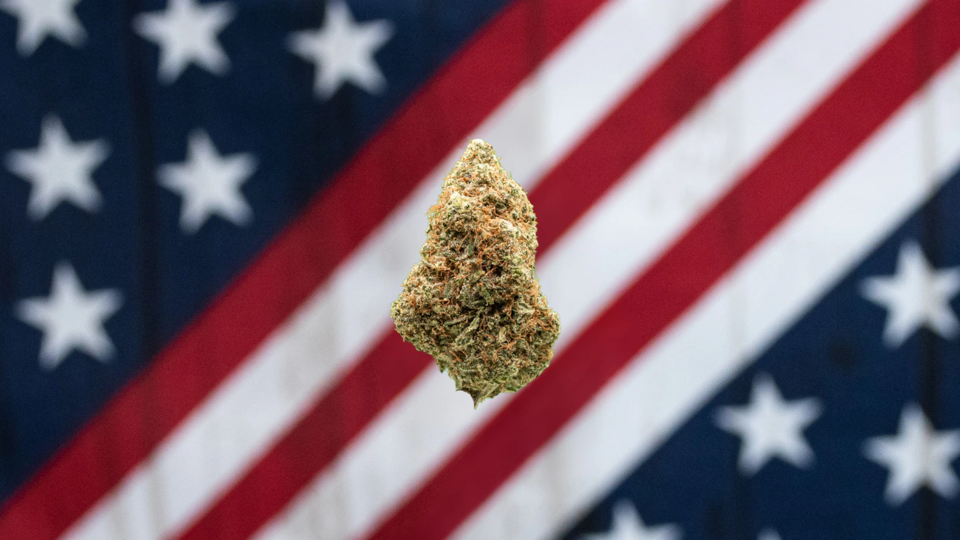 American Grown - American Grown-Blueberry Cotton Candy Top Tier Main Image