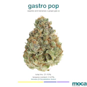 MOCA Flowers - 1/8th Mylar Bag - Gastro Pop
