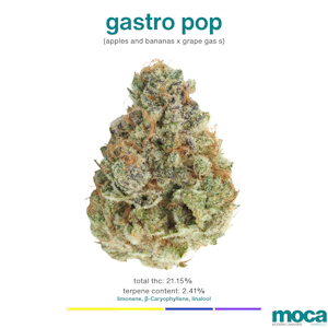 MOCA Flowers - MOCA Flowers - 1G Smalls - Gastro Pop