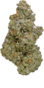 MOCA Flowers - 1G Smalls - Blueberry Cupcake