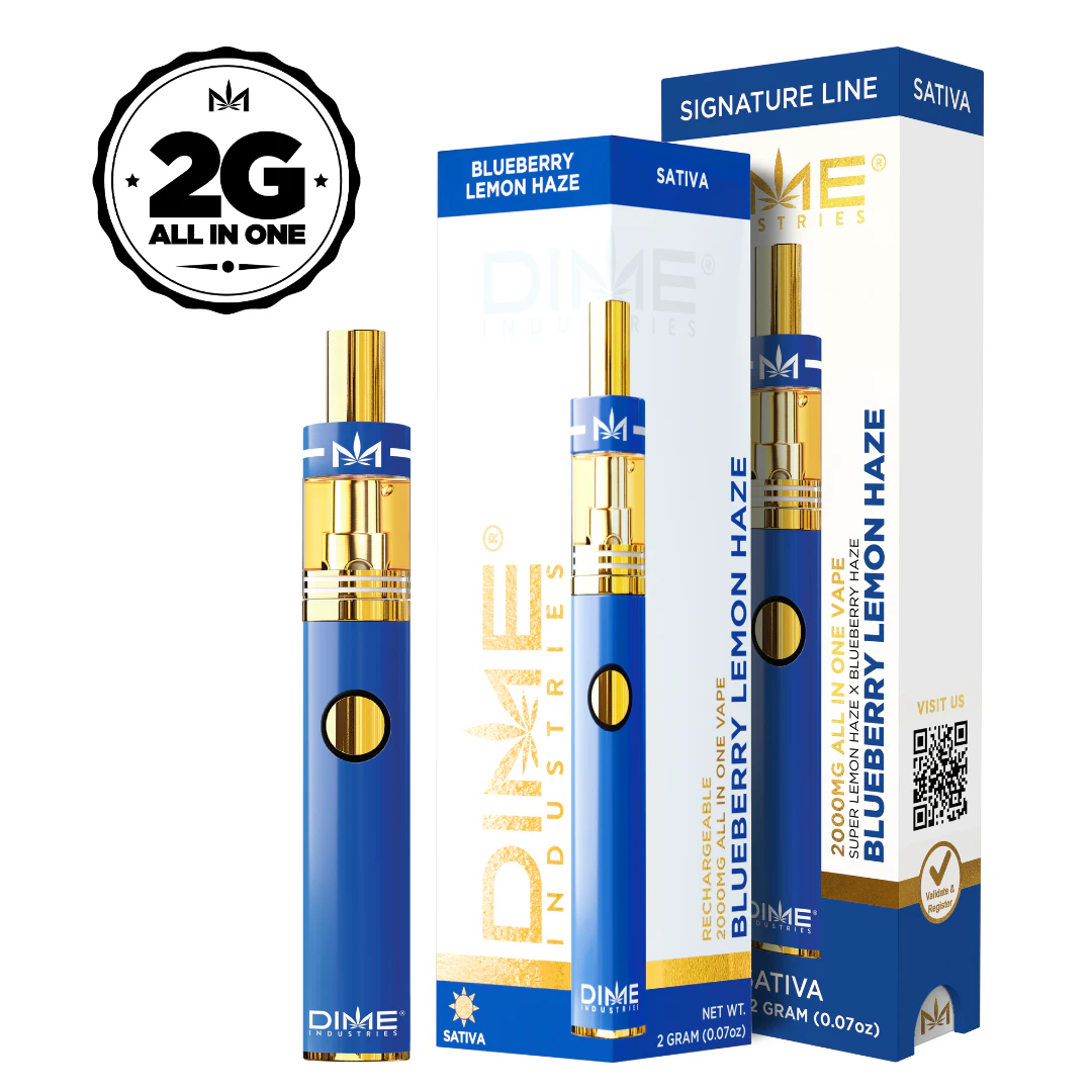 Dime - Blueberry Lemon Haze (2g) All in One Signature Disposable Main Image