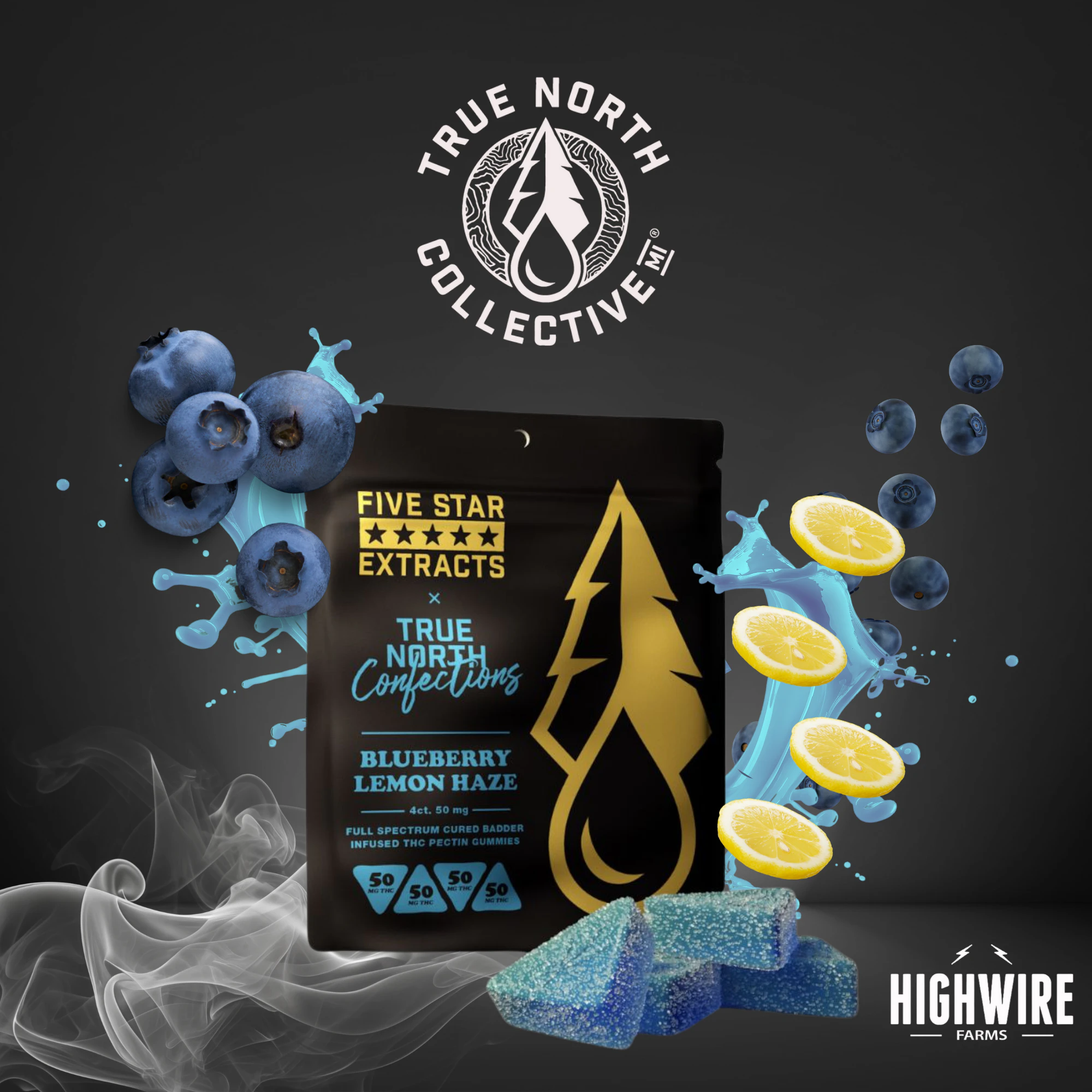 True North Collective MI - True North Full Spectrum Gummies Blueberry Lemon Haze 200mg Indica) Main Image