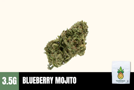 Humble Root - 3.5g Blueberry Mojito (Greenhouse) - Humble Root