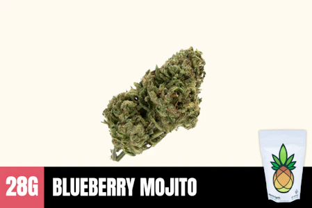 Humble Root - 28g Blueberry Mojito (Greenhouse) - Humble Root