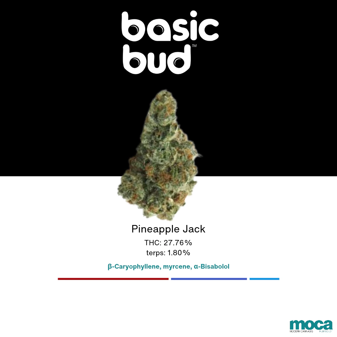Basic Bud - Basic Bud - 1/8th Indoor - Pineapple Jack Main Image