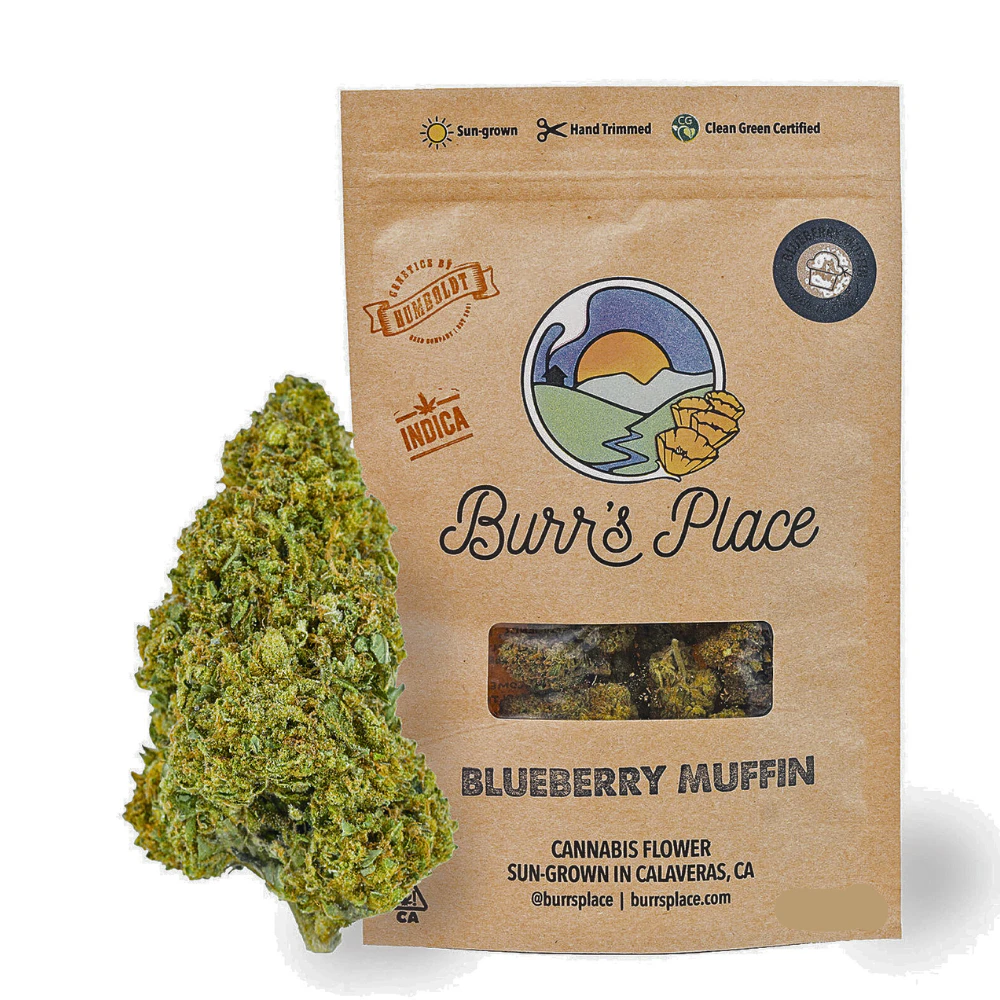 Burr's Place - Blueberry Muffin #4 (Eighth) Main Image
