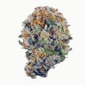 JSBH | Blueberry Muffin | 28g Prepack