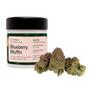 MFNY- 7 G - Blueberry Muffin