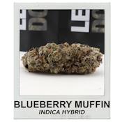 Blueberry Muffin