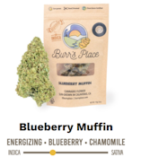 Burr's Place | Blueberry Muffin - 14g Bag (Hybrid)