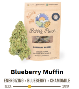 Burr's Place - Burr's Place | Blueberry Muffin - 14g Bag (Hybrid)