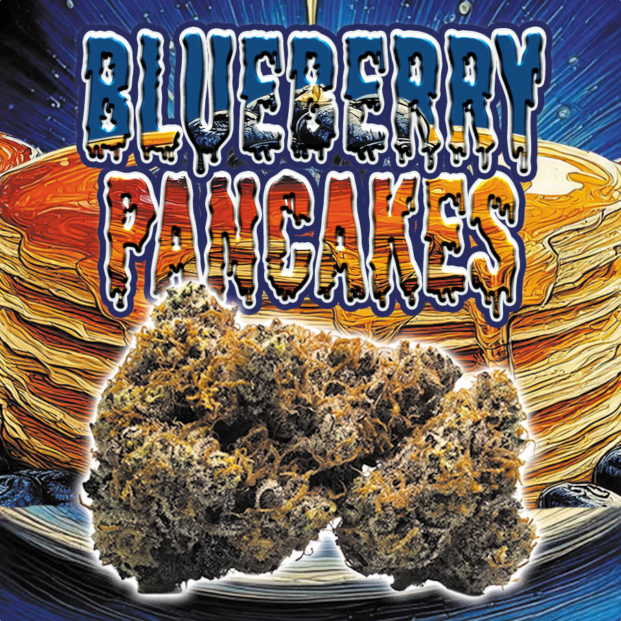 Green Dragon - 14g | $110 Blueberry Pancakes (I) Main Image