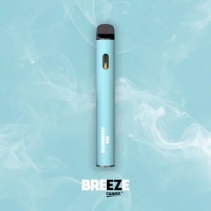 Breeze - Breeze Disposable - Blueberry Pie - 1G