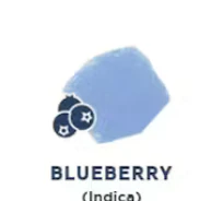 Drops - Drops – Blueberry 20 Piece (Gentle) Main Image