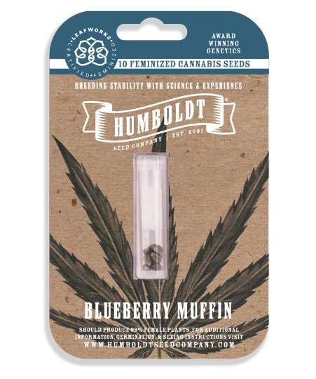 Humboldt Seed Company - SALE Humboldt Seed Company Blueberry Muffin FEMINIZED Seeds 10pk PD Main Image