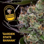 Garden State Banana Blueberry Banana 1g Preroll