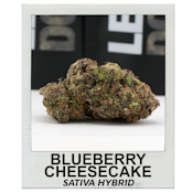 Blueberry Cheesecake