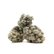 REGS Smalls Blueberry Diesel Bud by LaHaze 1/8oz
