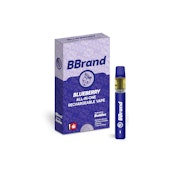 Blueberry Flavored All-in-One Vape | 1g (Distillate)