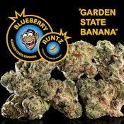 Blueberry Runtz 1g Preroll