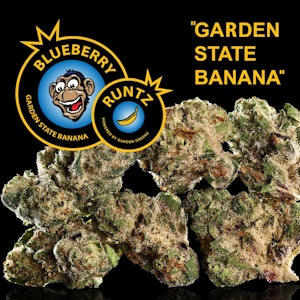 Garden State Banana - Blueberry Runtz 1g Preroll