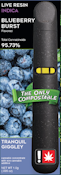 Freshy - Blueberry Burst, 1g Flavored Live Compostable AIO