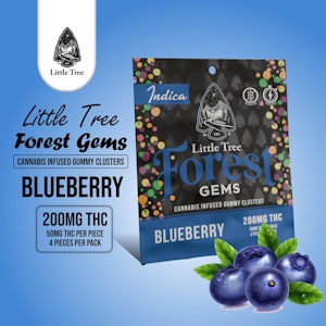 Little Tree - Little Tree - Forest Gems Blueberry – 200MG