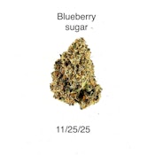 GW - Blueberry Sugar