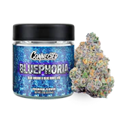 Bluephoria (S) | 3.5g Premium Indoor | Connected Cannabis Co.