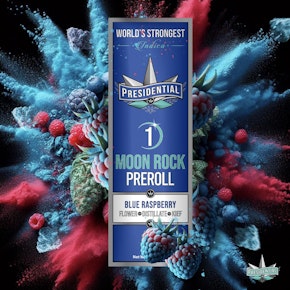 Platinum - Presidential Blue Raspberry - 1g Infused Preroll