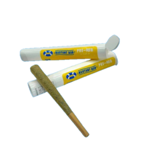 BUOYANT BOB - Bob's Zesticane Preroll 1g