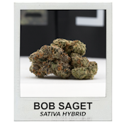 Bob Saget