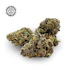 Product Preview Image 2