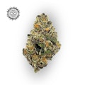 Bobby Brown Bulk Flower - FIRE ISLAND