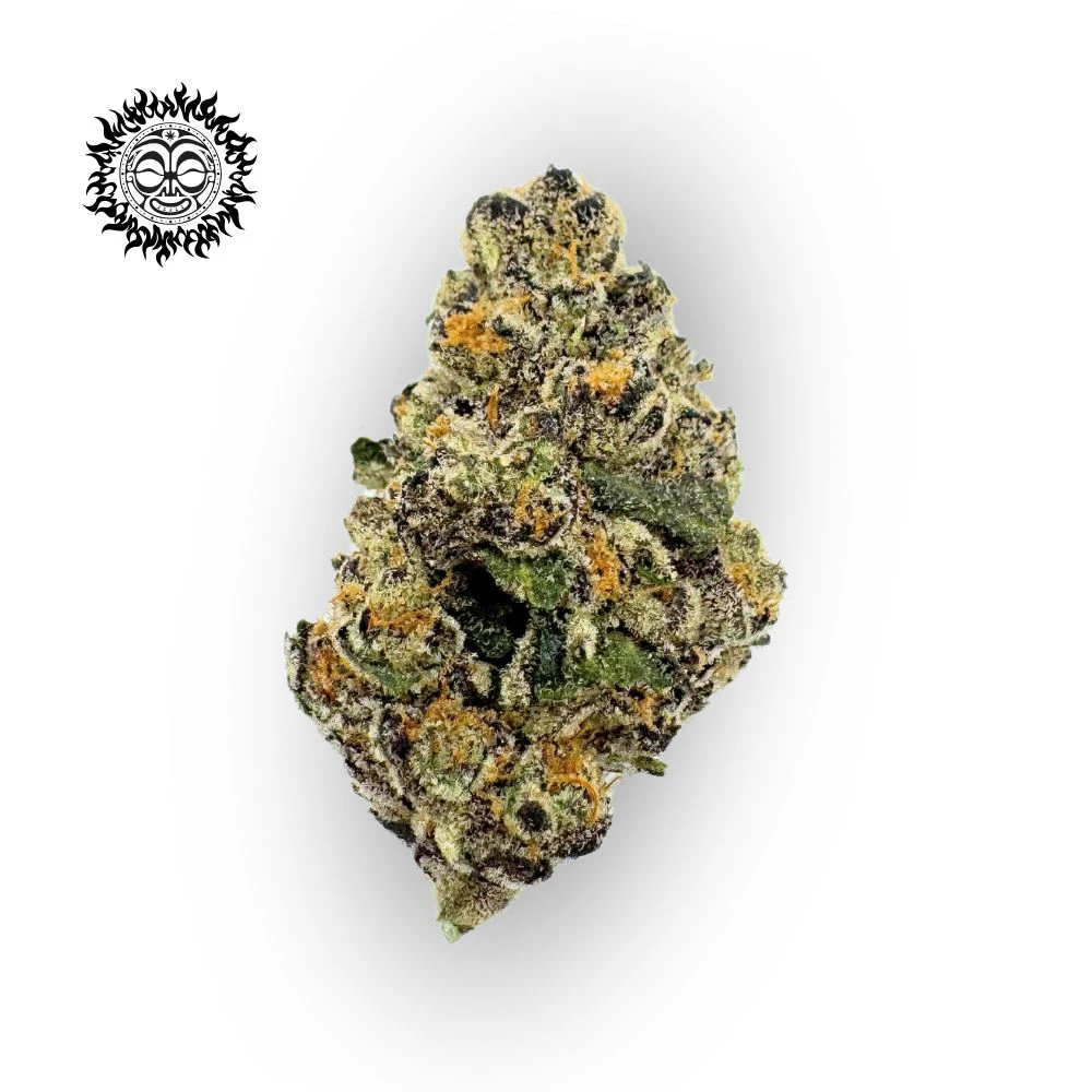 Fire Island - Bobby Brown Bulk Flower - FIRE ISLAND Main Image